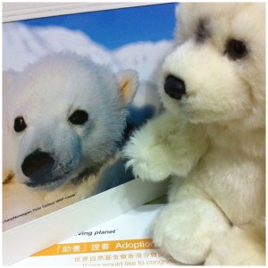 cap cap bear