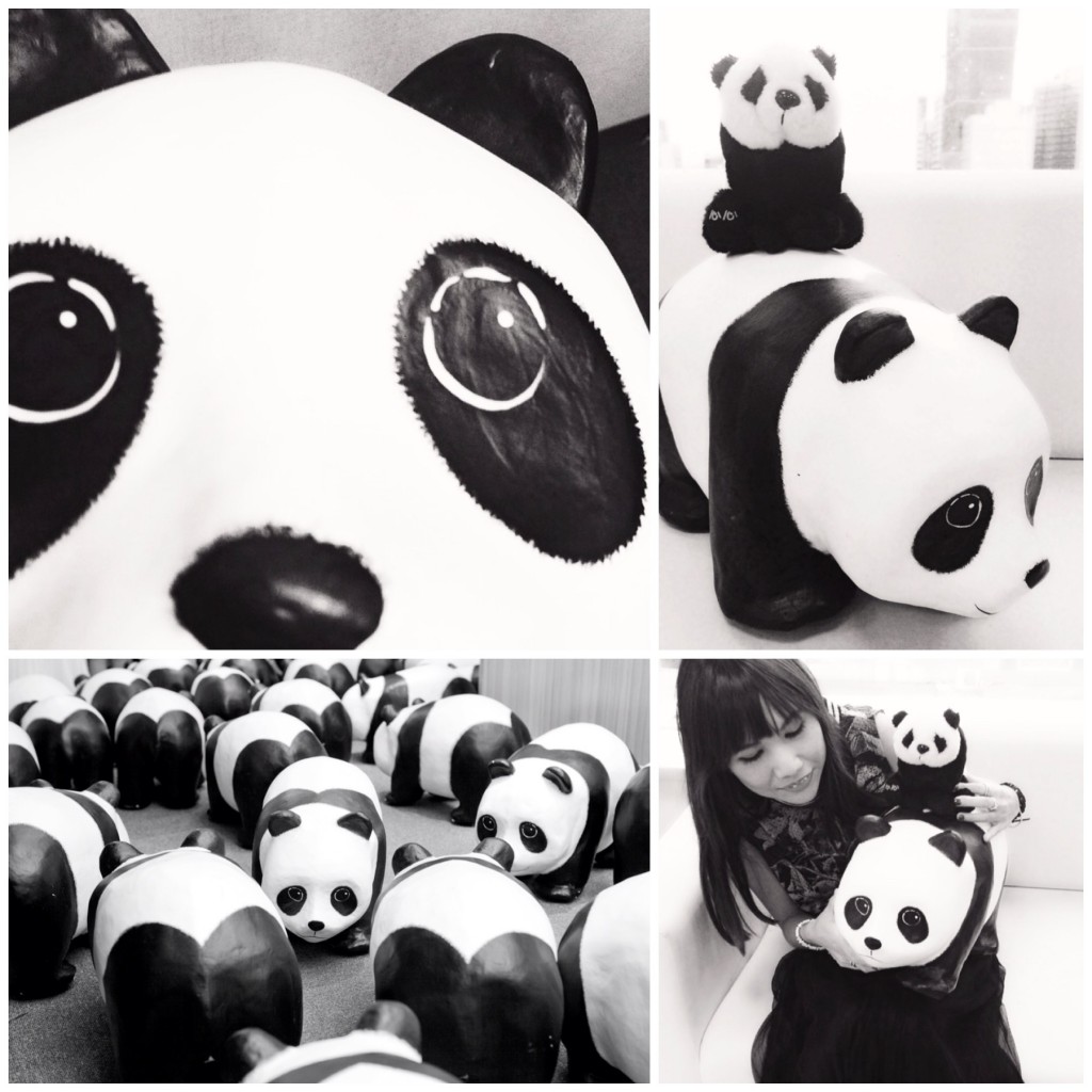 1600 pandas